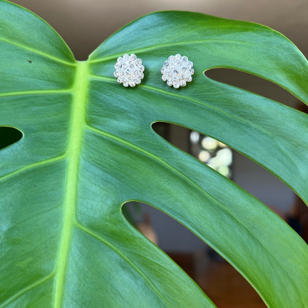 Shimmering earrings